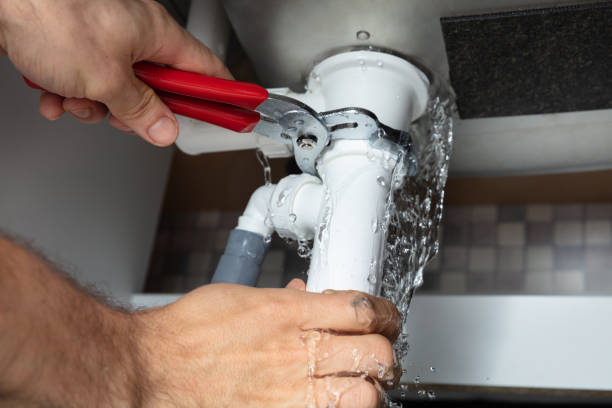 Best Professional water damage repair  in Columbia City, IN