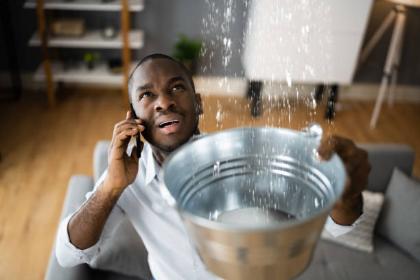 Best Commercial water damage restoration  in Columbia City, IN