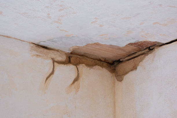 Best Residential water damage restoration  in Columbia City, IN