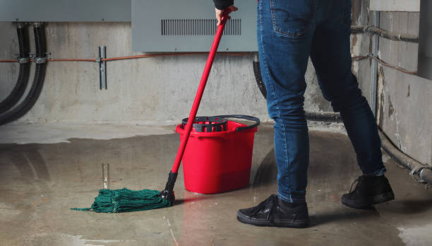 Best Flood damage cleanup  in Columbia City, IN