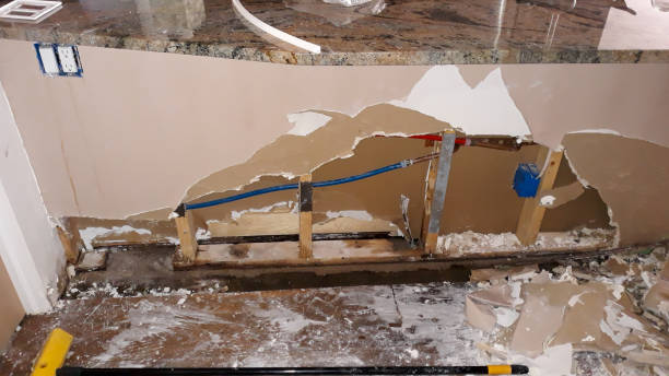 Best Water damage contractors near me  in Columbia City, IN