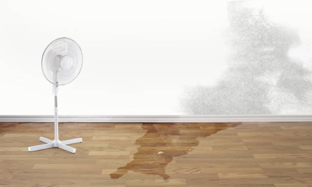 Best Local water damage restoration  in Columbia City, IN