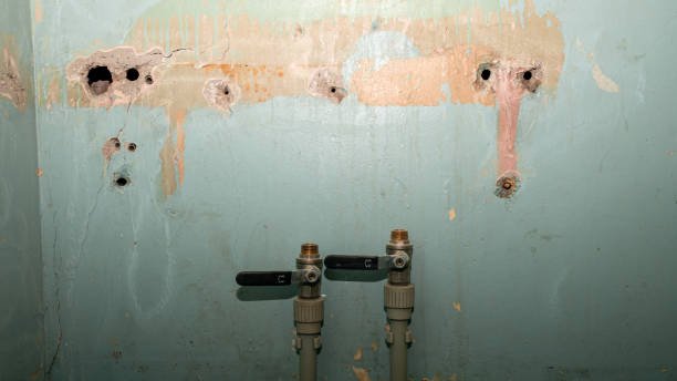 Sewage cleanup and water damage restoration in Columbia City, IN