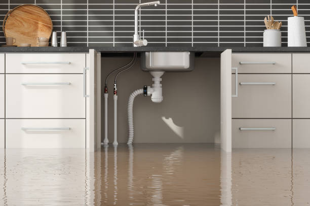 Best Water damage restoration services  in Columbia City, IN