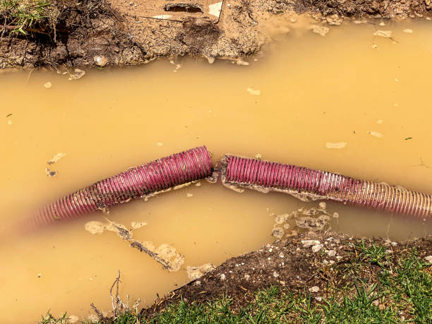 Best Sewage cleanup and water damage restoration  in Columbia City, IN