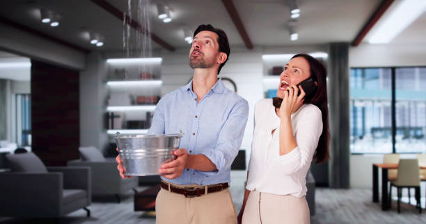 Best Residential water damage restoration  in Columbia City, IN