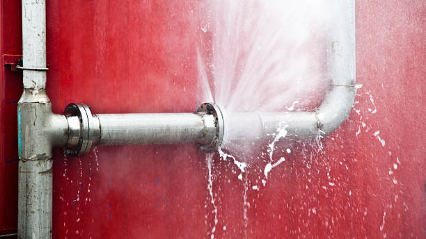 Best Sewage cleanup and water damage restoration  in Columbia City, IN